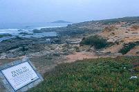 Blick auf die Ilha do Passegueiro von der Praia do Queimado