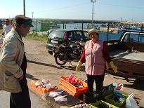 Eine moderne Varina - Fischhändlerin am Straßenrand in Quarteira